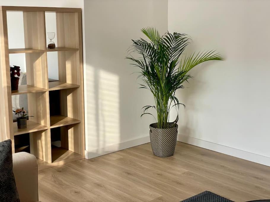 Appartement 73M2 - 2 Chambres - Parking - Wi-Fi ตูลูส ภายนอก รูปภาพ